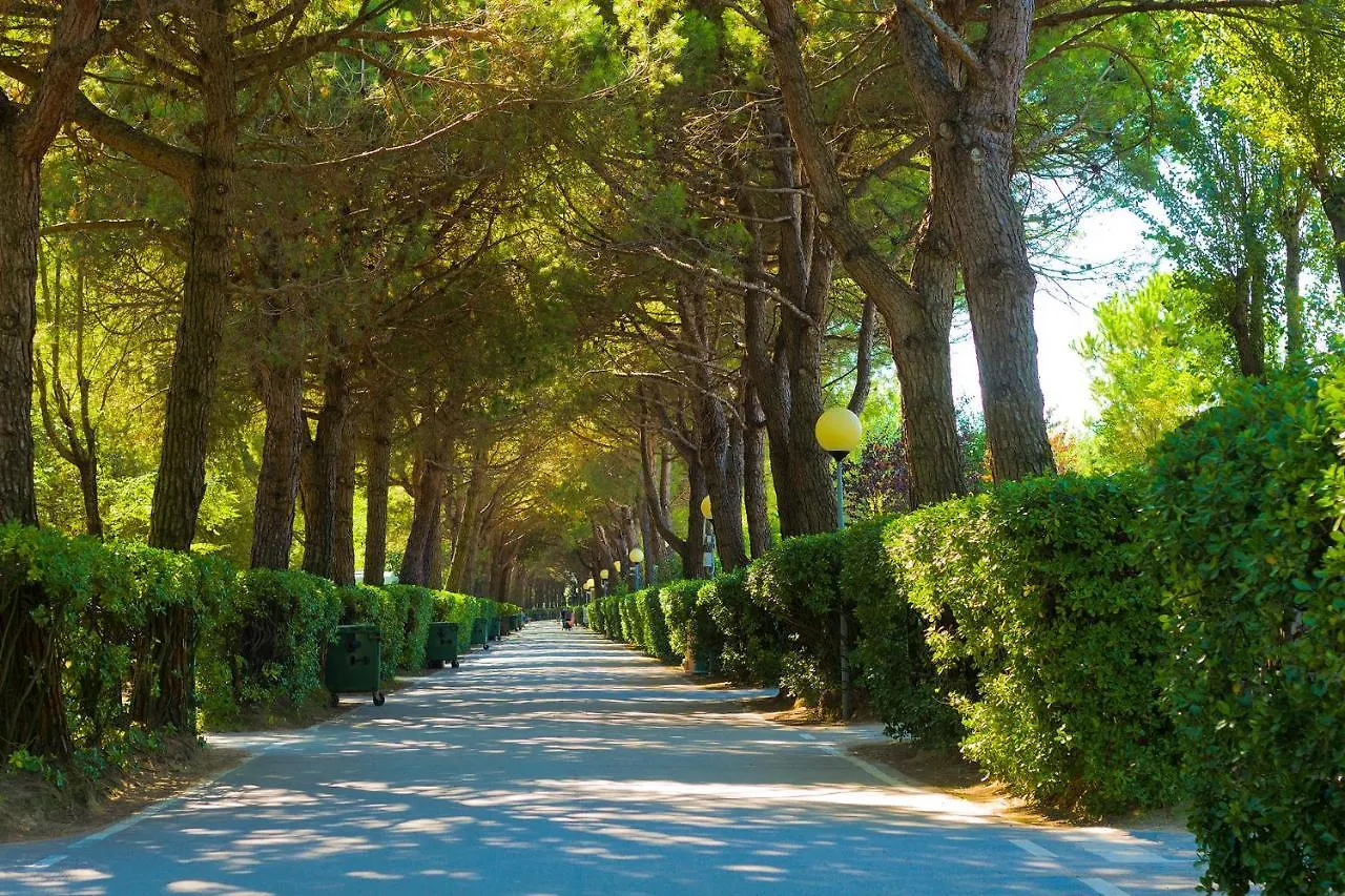 New Campsite In Camping Ca' Savio Cavallino-Treporti Italy
